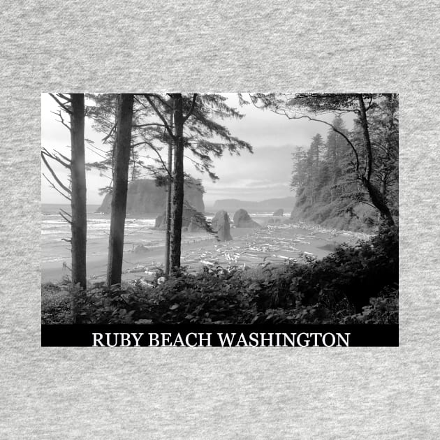 Ruby Beach Washington by dltphoto